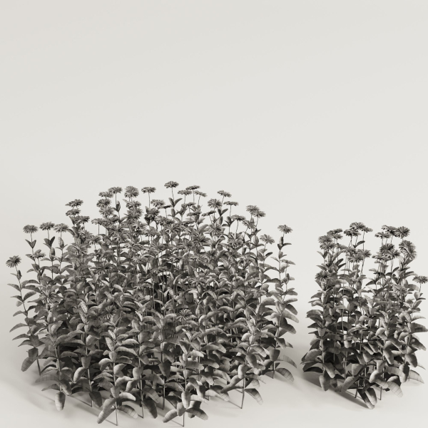 Flower Bush Set1