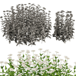 Flower Bush Set1