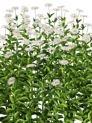 Flower Bush Set1