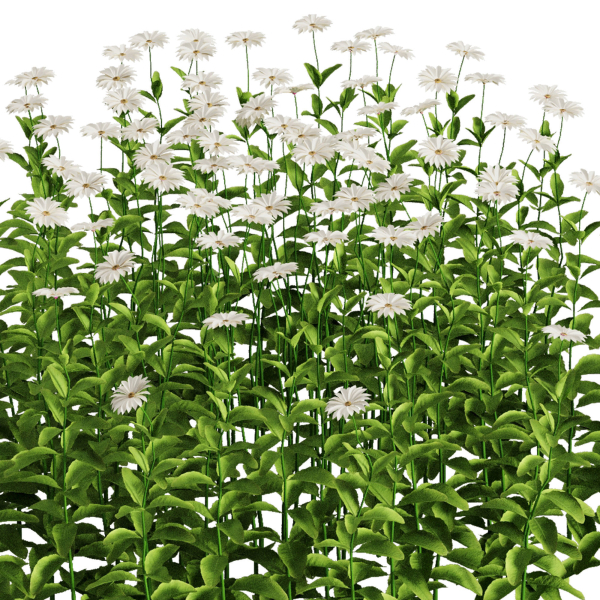 Flower Bush Set1