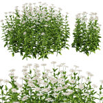 Flower Bush Set1