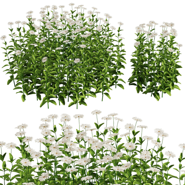Flower Bush Set1