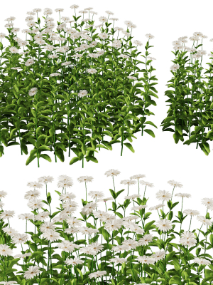Flower Bush Set1