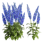 Flower Bush Set2