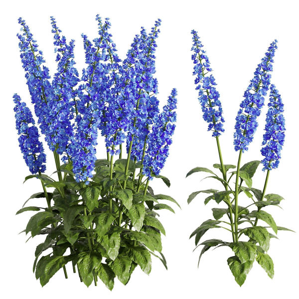 Flower Bush Set2
