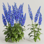 Flower Bush Set2