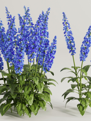 Flower Bush Set2