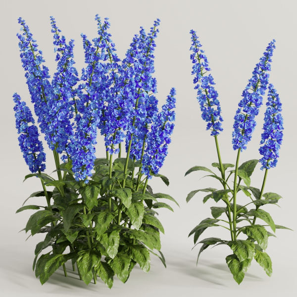 Flower Bush Set2