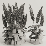 Flower Bush Set2