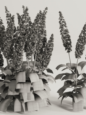 flower-bush-set2-3d-model-d0bb9eb89e