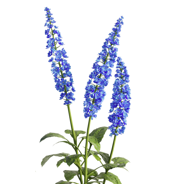Flower Bush Set2