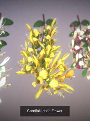 flower-collections-country-world-3d-model-obj-mtl-fbx-unitypackage-prefab