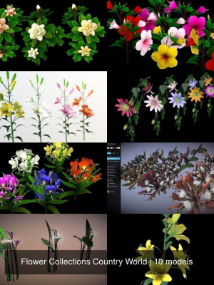 Flower Collections Country World