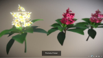 Flower Collections Country World