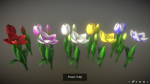 Flower Collections Country World