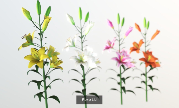 Flower Collections Country World