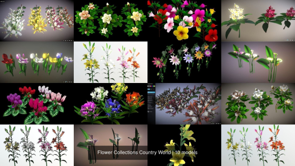 Flower Collections Country World