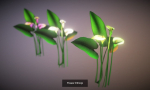 Flower Collections Country World