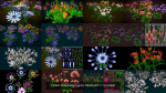 Flower Collections Country World path 7