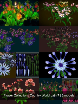 Flower Collections Country World path 7
