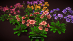 Flower Collections Country World path 7