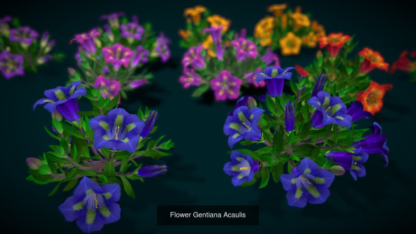 Flower Collections Country World path 7