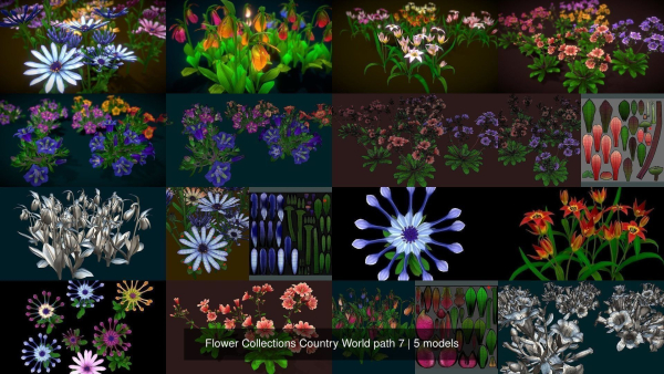 Flower Collections Country World path 7