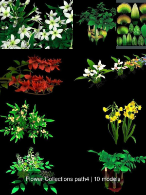 Flower Collections path4