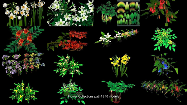 Flower Collections path4