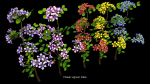 Flower Collections path4