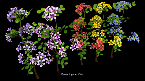 Flower Collections path4