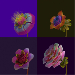 FLOWER CREATOR