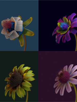 FLOWER CREATOR