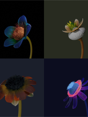 flower-creator-3d-model-dfc99c18ec