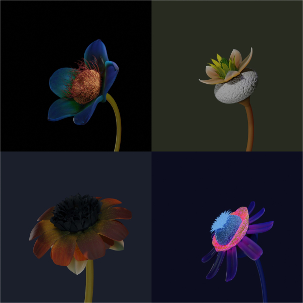 FLOWER CREATOR