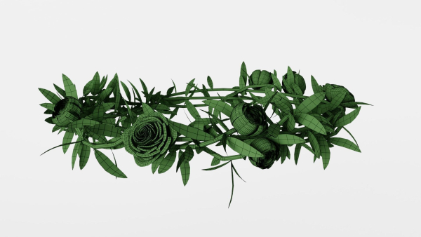 Flower Crown