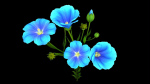 Flower Flax