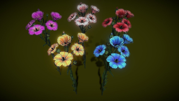 Flower Flax