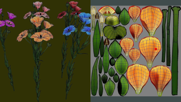 Flower Flax