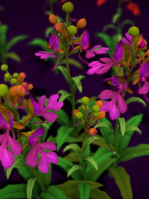 flower-habenaria-rhodocheila-3d-model-low-poly-obj-fbx-unitypackage
