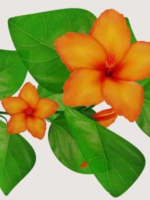flower-hibiscus-3d-model-2d9d91a203
