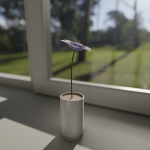 Flower in vase Polemonium caeruleum