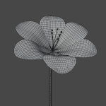 Flower in vase Polemonium caeruleum