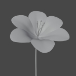 Flower in vase Polemonium caeruleum
