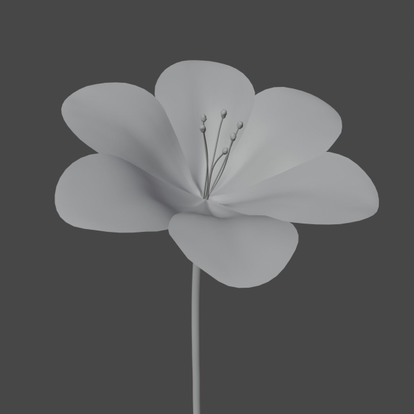 Flower in vase Polemonium caeruleum