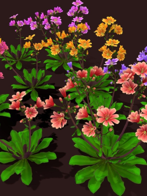 flower-lewisia-3d-model-low-poly-obj-fbx-unitypackage
