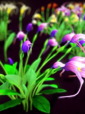 flower-masdevallia-limax-3d-model-low-poly-obj-fbx-unitypackage