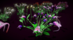 Flower Masdevallia Limax