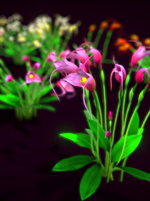 Flower Masdevallia Limax