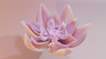 Flower model